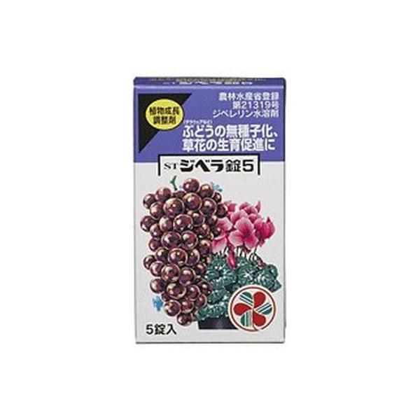 Wx5@5@ZFw|@ƒ؉@Ԃǂ@؁@ʕ