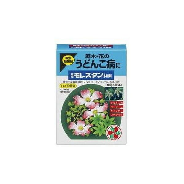 X^a 0.5g×10 ZFw| Eۍ E