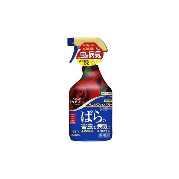 xjJXt@CXv[ 950ml ZFw| | K[fjO ΂pEEۍ