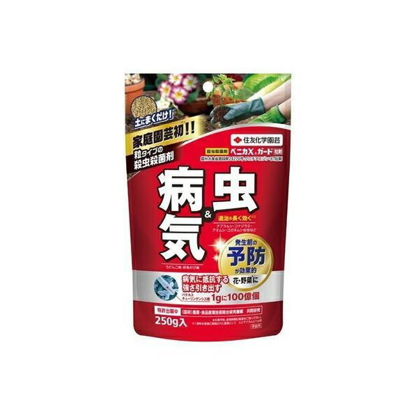 xjJXK[h 250g ZFw| K[fjO | E Eۍ