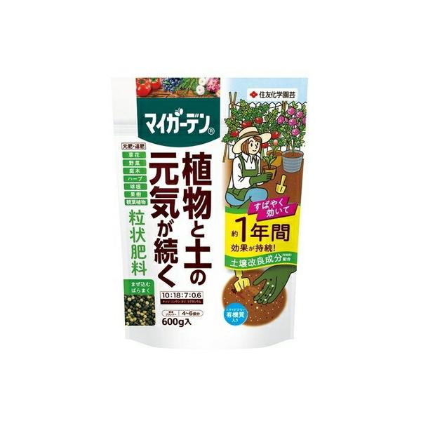 }CK[f엿 600g ZFw| K[fjO |pi