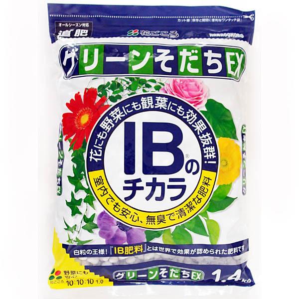 IB̃`JO[EX@1.4kg@Ԃ@엿@ƒ؉@K[fjO