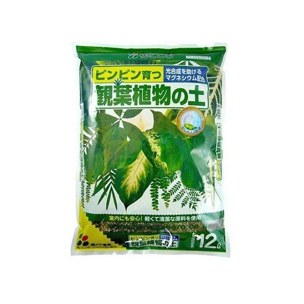 Ԃ@ϗtA̓y@12L@|@ϗtA