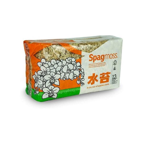 水苔 約150g 送料無料 ニュージーランド産