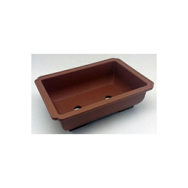 長方鉢 8号 ブラウン松や紅葉、真柏など和の盆栽はもちろん人気のコーデックス、グラキリスの浅鉢仕立てにも【仕様】サイズ：幅202ｘ高さ60ｘ奥行145mm容量：0.5L【材質】ポリプロピレン