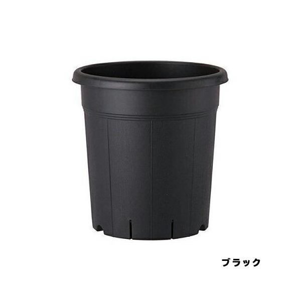 他サイト： 果樹鉢 310型 ブラックアップルウェアー 柑橘 レモン みかんの商品画像