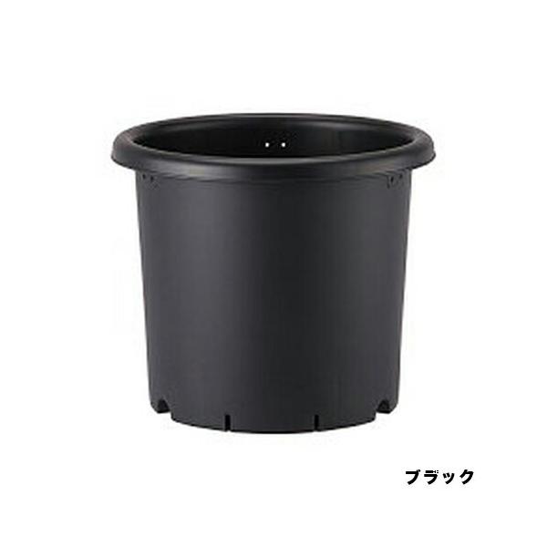 菊鉢 8号 ブラック アップルウェアー菊の栽培に適した土容量タップリで安定感のある寸胴設計。根のサークリング現象の防止に効果的なスリット付き。通水性・通気性のよい底形状。支柱止め用の針金穴３ヵ所付最近流行りのアガベやパキポディウムグラキリス...