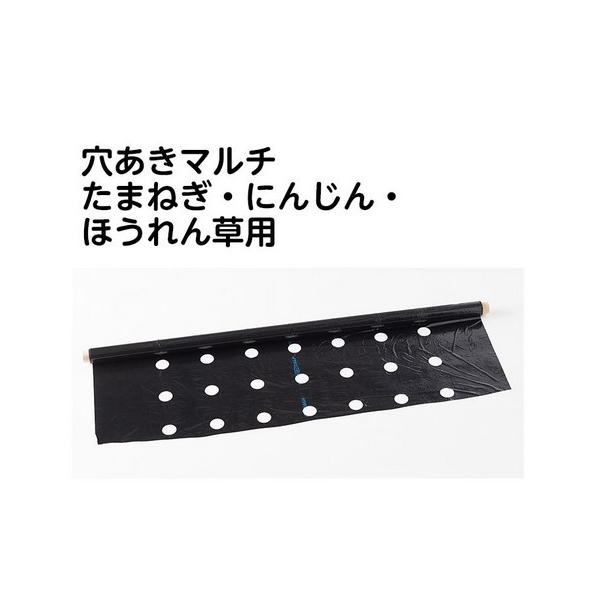 仙姿玉質 全固体電池材料の真の姿をX線レーザーで観察 ～乳がんのX線画像