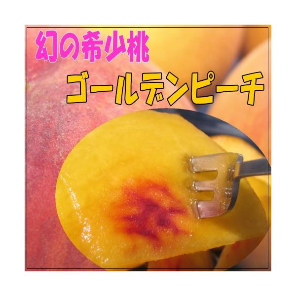 新潟産 朝採り 希少桃 ゴールデンピーチ 2k 令和7年産 9/9発送開始 到着指定不可