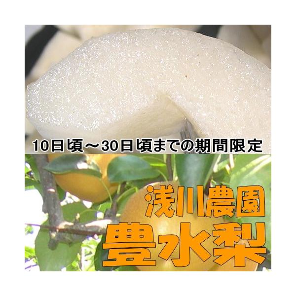 新潟産 朝採り 豊水 梨 2k 令和8年産 9/4頃発送開始予定