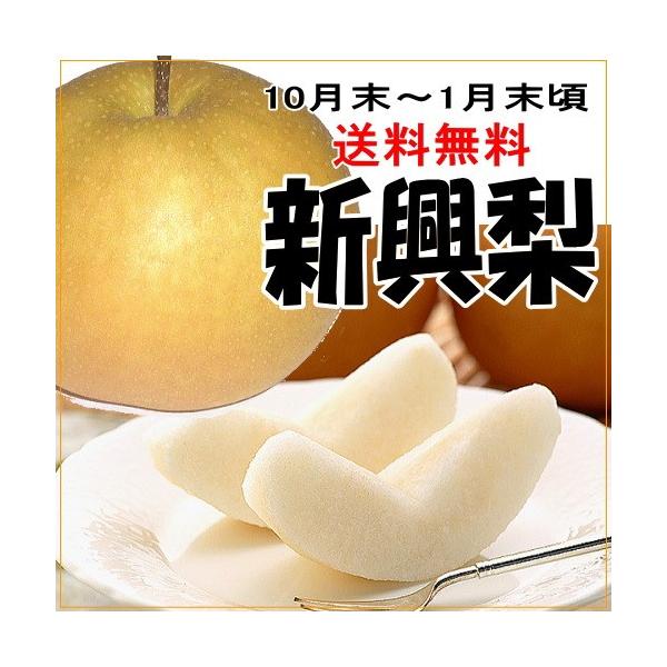 [Release date: October 20, 2025]10月20日発送開始〜1月中旬頃までの期間限定(*^^)v※12月29日〜1月3日までの間は出荷出来ません最後の和梨!!大玉で果汁たっぷり♪最後に登場する品種です(^o^)丿新...