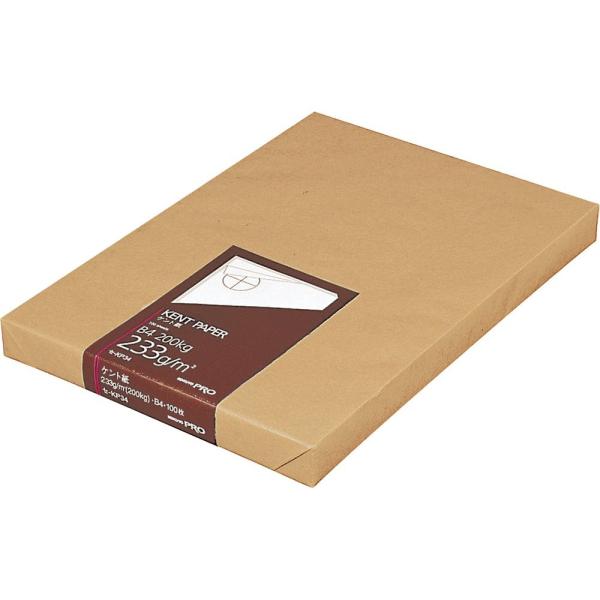 KOKUYO RN Pg B4 100 230g Z-KP34