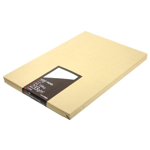 KOKUYO RN Pg A3 100 230g Z-KP38