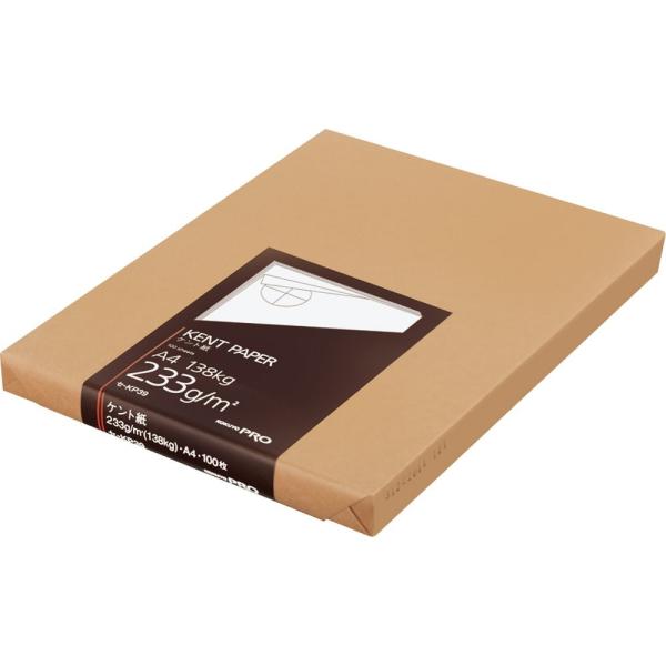 KOKUYO RN Pg A4 100 230g Z-KP39