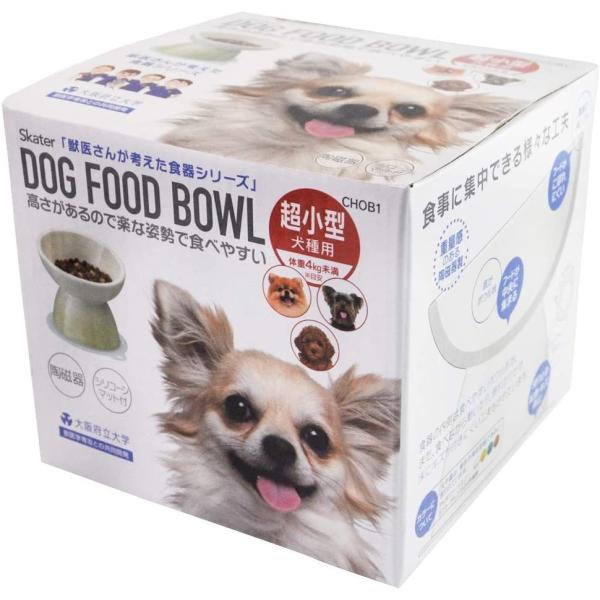 SKATER XP[^[ ^p H 퐻 ybga }bgt AC{[ CHOB1 (v[g j wj q w 킢  Ԃ)