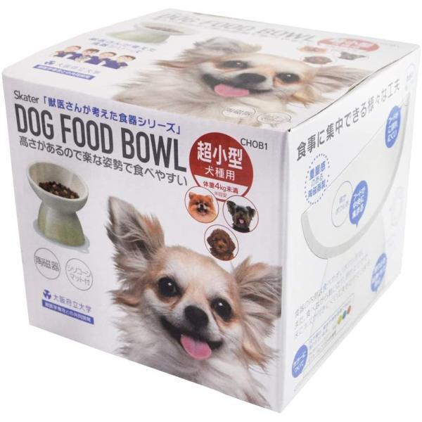 SKATER XP[^[ ^p H 퐻 ybga }bgt CG[ CHOB1 (v[g j wj q w 킢  Ԃ)