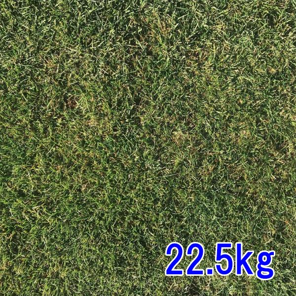 種子 ケンタッキーブルーグラス 22.5kgの特徴と使い方