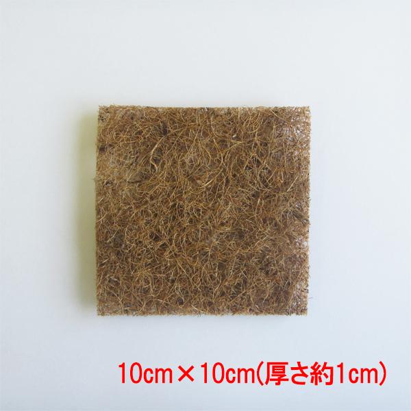 ヤシ繊維をランダムに接着したヤシマットです。土の上に敷くことで水はねや乾燥を抑えます。1cmほどの厚みがあるため薄いものに比べると高い効果があります。天然のヤシ繊維で出来ているので土に還っていきます。ペットの巣材としてもお使いいただけます。...
