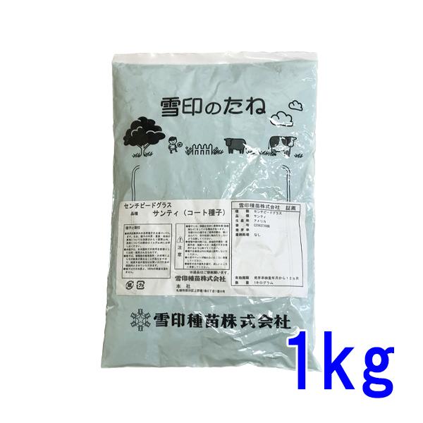 センチピードグラスの種子 1kg 楽天市場】センチピートグラス 種子 芝の種 緑化用 紅大貿易