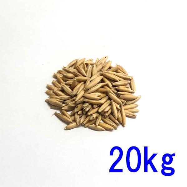 ■種子　イネ科の一年草　オートムギ・オーツ麦・燕麦とも呼ばれる■特性　発芽が早く、初期生育が旺盛です。　緑肥植物としての利用だけでなく　生牧草としてペットに与えることが可能です。■適用地域　北海道から沖縄の幅広い地域に適応可能■数量　20k...