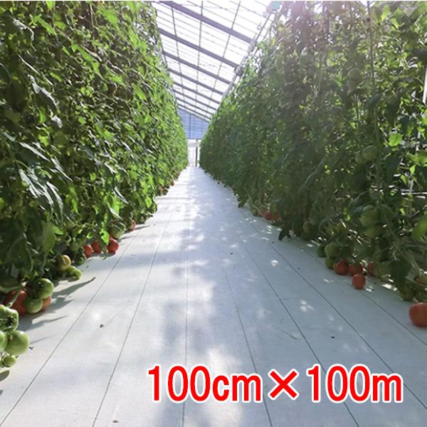 防草シート ルンルンシート用 白ピカテープ 100mm X 10m 6巻 楽天市場】ルンルンシート 白ピカテープ 幅100mm×10m 補修