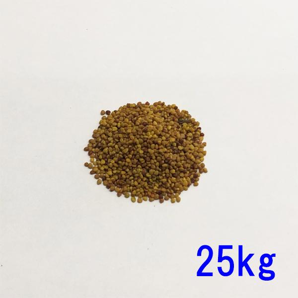 種子 シロクローバ 25kgの特徴と使い方ガイド