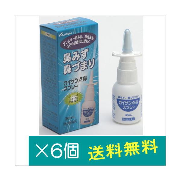 カイゲン点鼻スプレー30ml×6個【第2類医薬品】