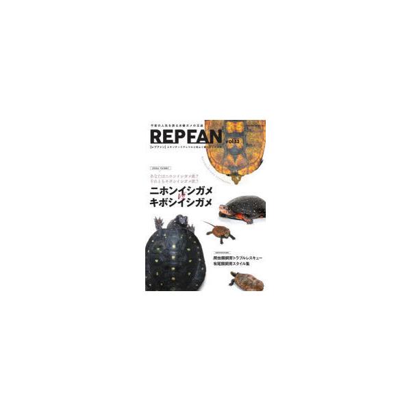 安いキボシイシガメの通販商品を比較 ショッピング情報のオークファン