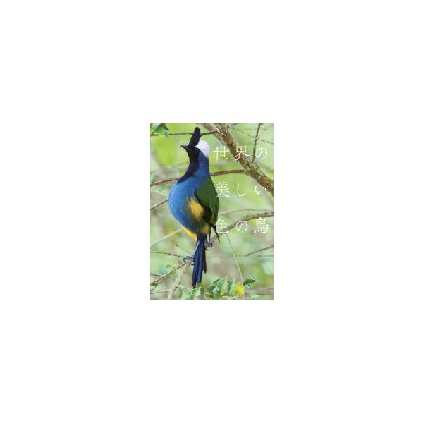世界の美しい色の鳥
