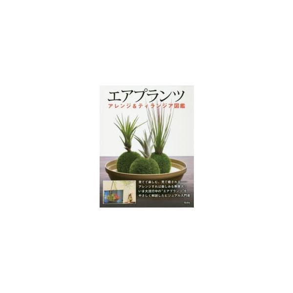 エアプランツ アレンジの人気商品 通販 価格比較 価格 Com