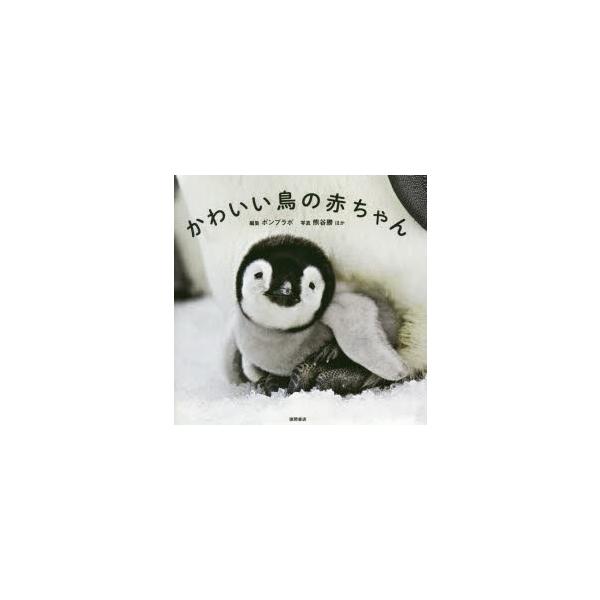 本 赤ちゃん 写真集 雑誌の人気商品 通販 価格比較 価格 Com