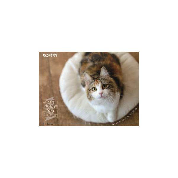 新品本 カレンダー 19 ねこのきもち 石川 美和 他撮影 石原 さくら 他撮影 Buyee Buyee Japanese Proxy Service Buy From Japan Bot Online