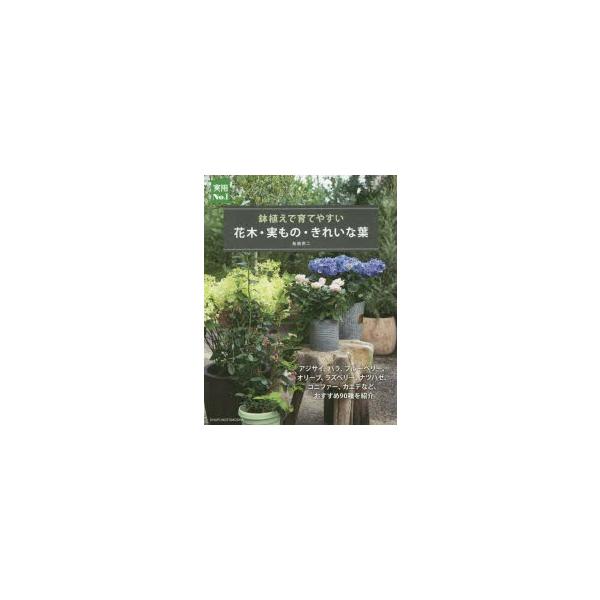 鉢植え 木 花 本 Cd Dvdの人気商品 通販 価格比較 価格 Com