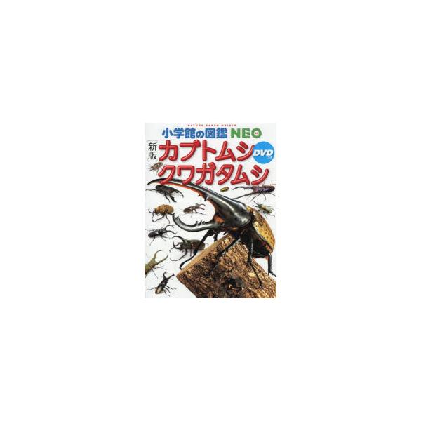 カブトムシ　クワガタムシ　小池啓一/執筆・企画構成
