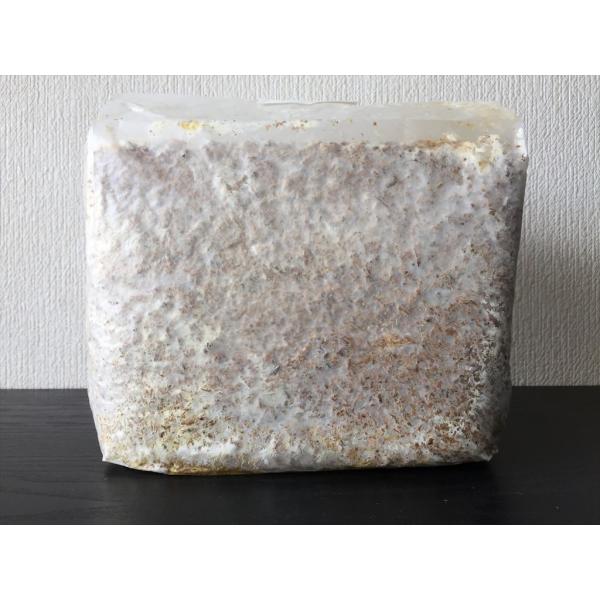 ※メーカー直送（埼玉県より）の為、他の商品との同梱不可。　ご入金確認後、1〜3日（予約販売を除く）で発送となります。　　メーカー在庫は常に変動しており、正確な在庫情報は分かりかねます。　当サイトで在庫有りとなっていても、　ご注文のタイミング...