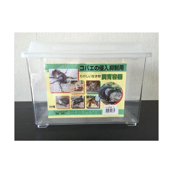 P[X@RoG̐N}p@TCY@ؐ쏊