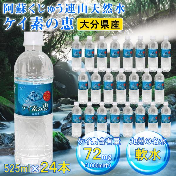 シリカ水 500ml 24本セット ケイ素の恵 シリカ含有量72mg/L 国産天然水 ミネラル豊富 ナチュラル