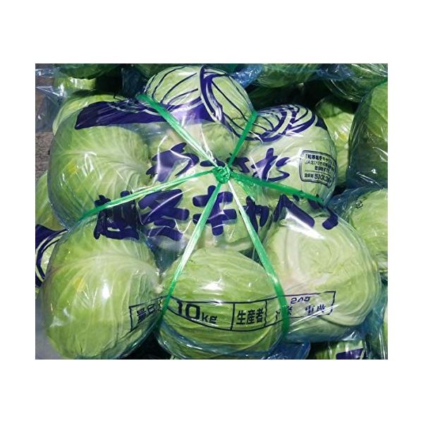 「商品情報」「主な仕様」一箱１０ｋｇ：５玉〜９玉入　北海道　和寒産キャベツは、クラストップ最上級品です。雪の下キャベツとも言われ、甘味が有る事から漬物にも適してます。
