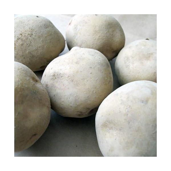 「商品情報」説明新品「主な仕様」