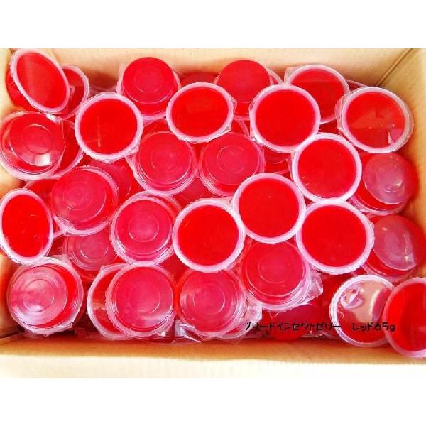 お勧めの新商品です。お勧めのブリード　インセクトゼリーがレッド６５ｇで新登場！！大型のオスも食べやすい６５ｇです。昆虫の体内から活動を活発化させるグルコースや符節取れ・生殖能力の要になるガラクトースを豊富に入れトレハロースや各種ビタミンをバ...