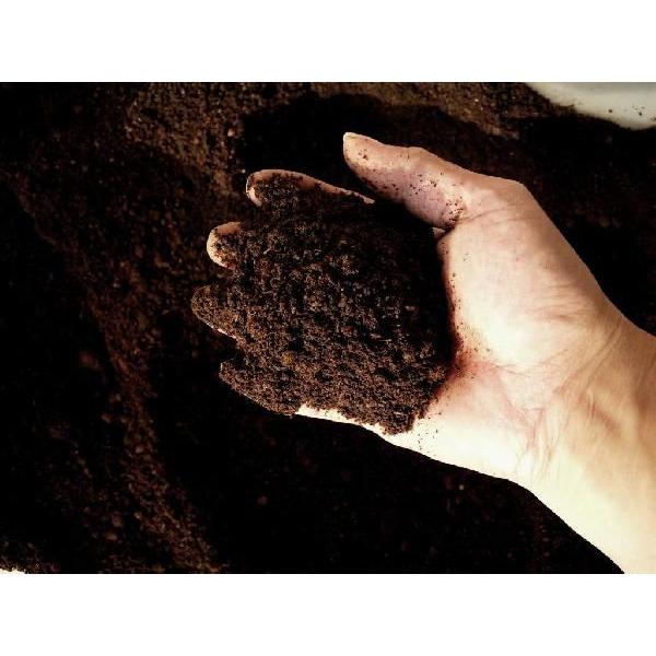 送料込み!プロ仕様 発酵カブトマット 約50L箱(カブトムシの 送料込み!プロ仕様 発酵カブトマット 約50L箱(カブトムシの