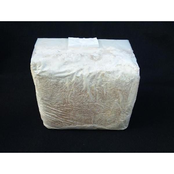 ブナ100 カワラ菌糸ブロック ｙｓｏｂｋ 3500ｃｃ微粒子タイプ Yso3500kb ドルクスオーナーズショップ 通販 Yahoo ショッピング