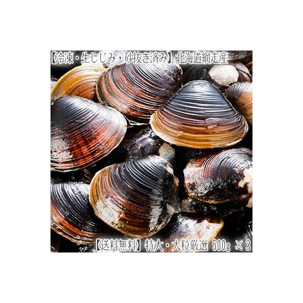 しじみ 生 貝の人気商品 通販 価格比較 価格 Com