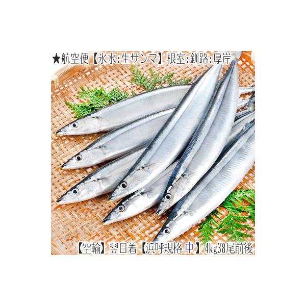 送料無料 生サンマ 北海道産 根室 釧路 特大 浜呼び名 2kg前後13尾前後 獲れたて 生さんま 水揚げ日に空輸で翌日着 日帰りトロさんま 最高級 秋刀魚 Buyee Buyee 提供一站式最全面最專業現地yahoo Japan拍賣代bid代拍代購服務 Bot Online