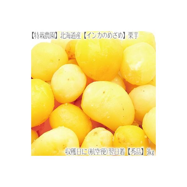 じゃがいも 3kgの人気商品 通販 価格比較 価格 Com