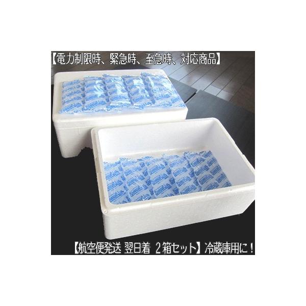 送料無料 簡易 冷蔵庫 冷凍庫用 2箱セット 最短 空輸で翌日着 発泡スチロール 大判保冷剤 1個300g 厚手ポリ袋 電力供給制限用 Buyee Buyee Jasa Perwakilan Pembelian Barang Online Di Jepang