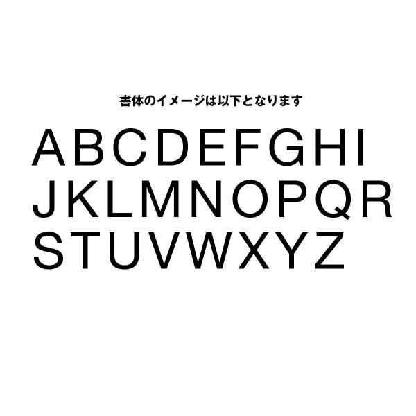名入れ Tシャツ 半袖 イニシャル Type3 プレゼント 男の子 女の子 90cm 100cm ジュニア 110cm 名前入り 140cm 130cm 150cm 1cm お誕生日祝い 160cm キッズ 買い取り