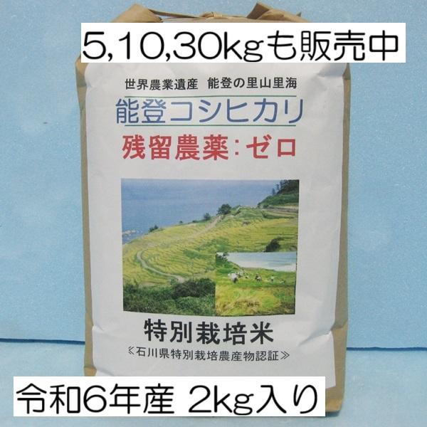 コシヒカリ　令和６年度産　新米　無農薬　農家直送 新米 令和6年 内祝 自然栽培米 無農薬 米 2kg 高級 食べ物 純