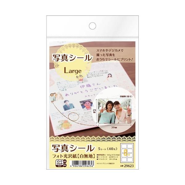 ●品番:29623●入数:５枚