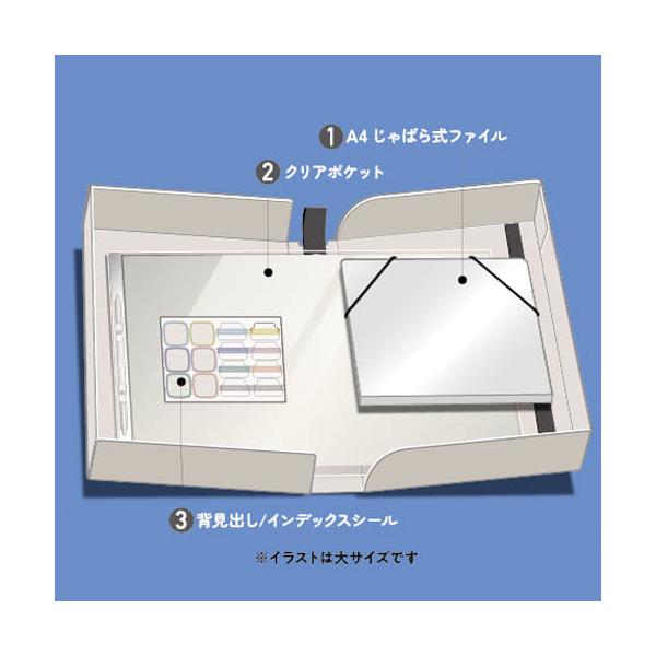 dotkae-ru02_039-02184_1_d_20240618130858